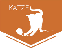 icon-katze