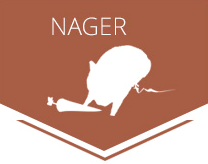 icon-nager